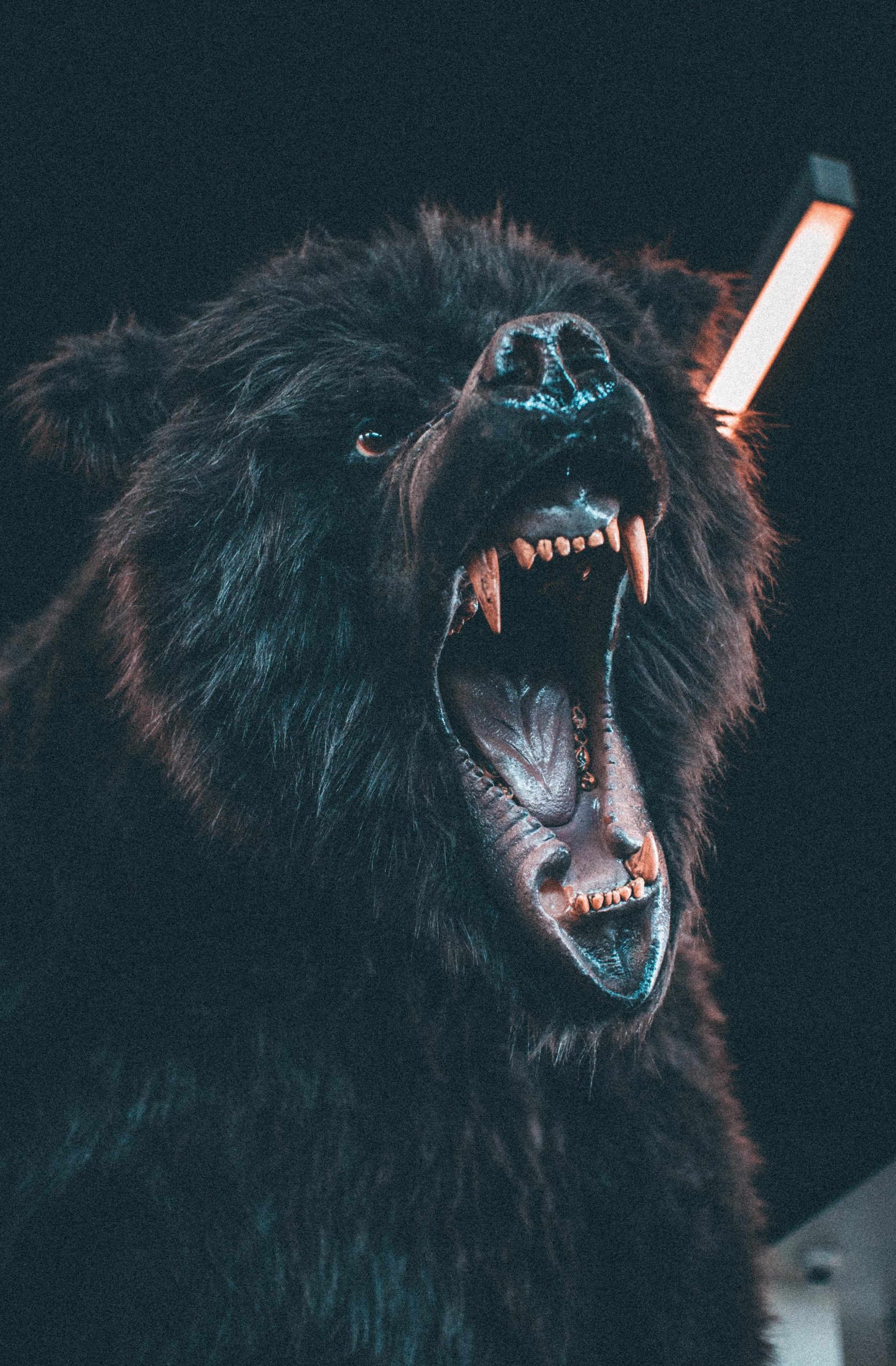 Episode 84 – Anger