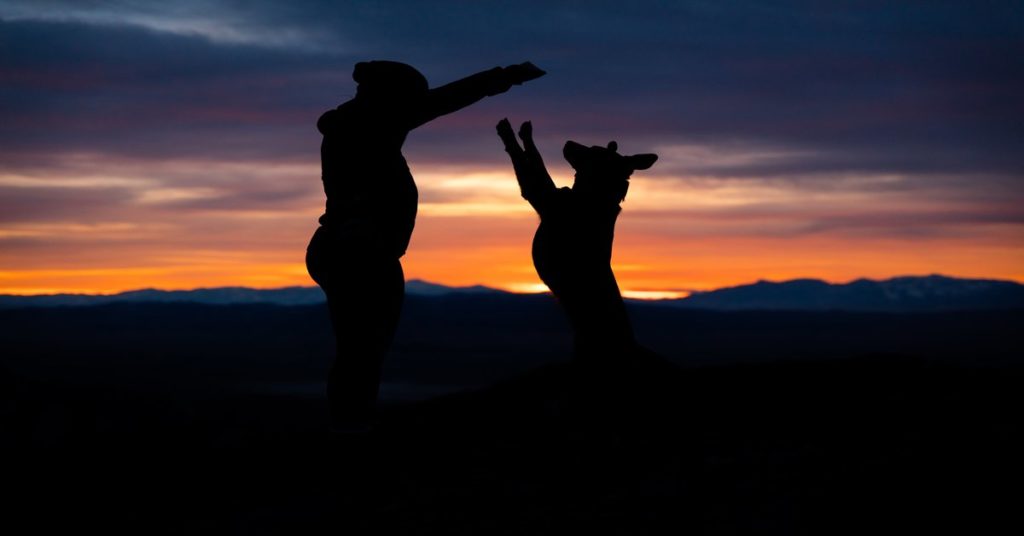 A man dances with a large dog against a sunset background, illustrating the fascinating human relationship with pets.