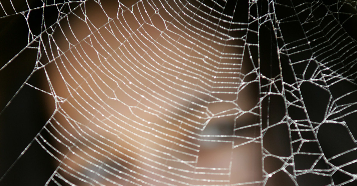 A child is trapped behind a spider web made by codependent parents.