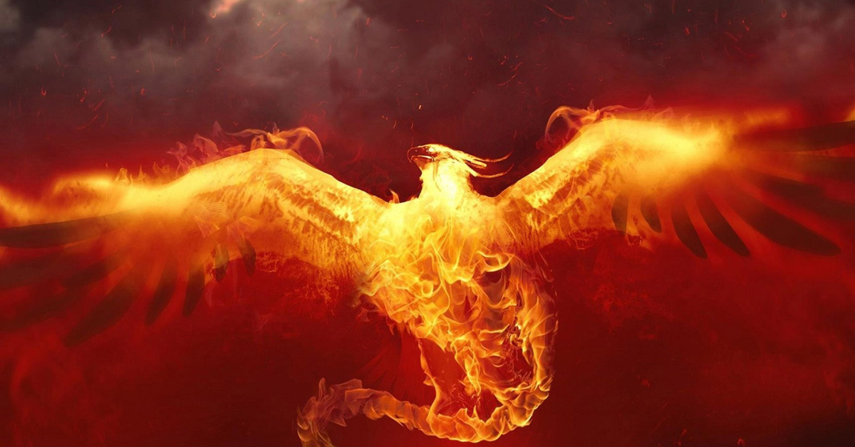 THE PHOENIX: learning to trust life – This Jungian Life